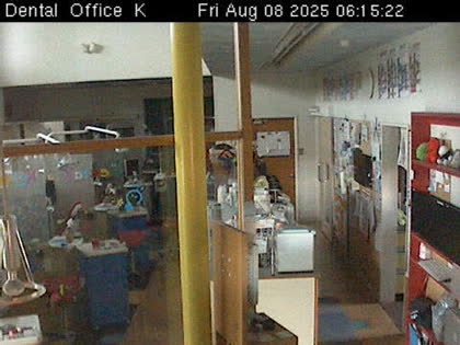 2025-08-07