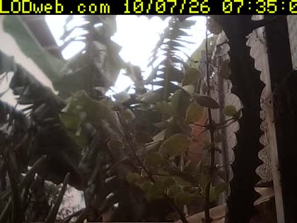 2026-10-07
