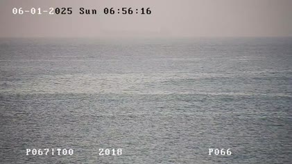 2025-06-01