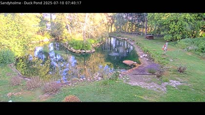 2025-07-10