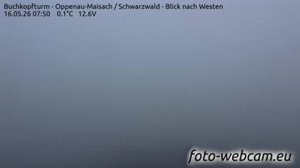 2026-05-16
