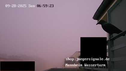 2025-09-28