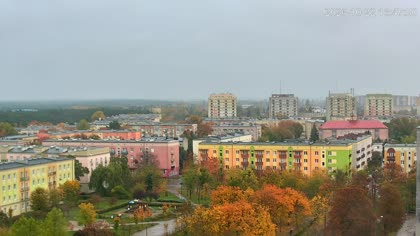 2026-10-22