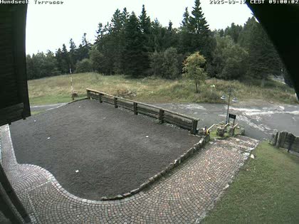 2025-09-12