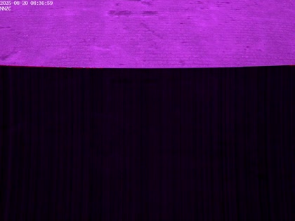2025-08-20