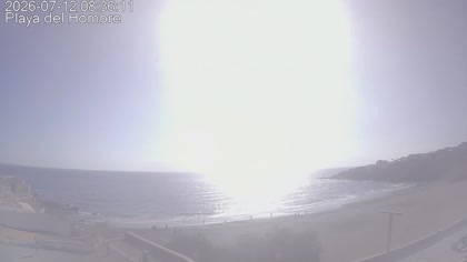 2026-07-12
