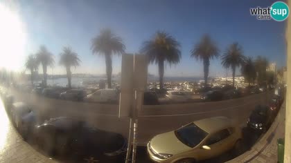 2026-07-29