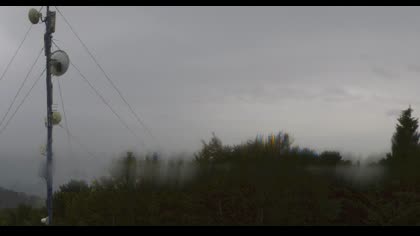 2025-07-08