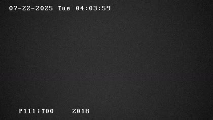 2025-07-22