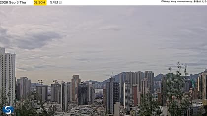 2026-09-03