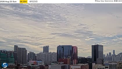 2026-08-23