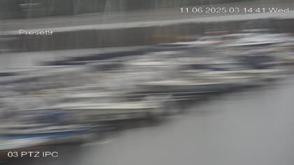 2025-06-11