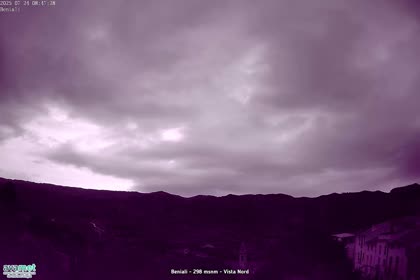 2025-07-24