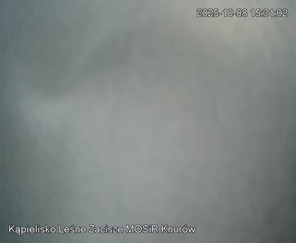2025-10-08