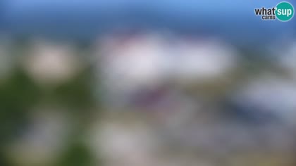 2026-07-10