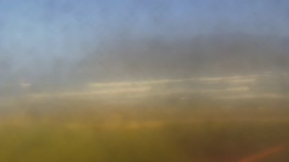2025-07-29
