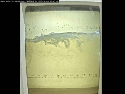 2025-10-09