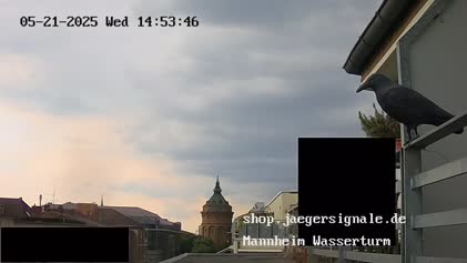 2025-05-22