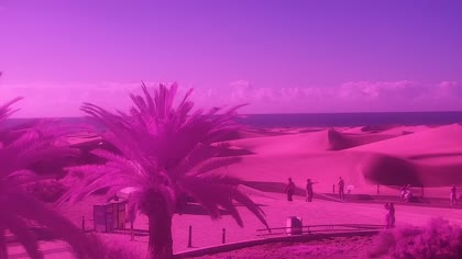2026-05-15