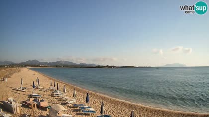 2026-07-11