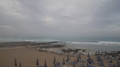 2026-06-11