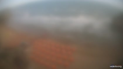 2025-08-05