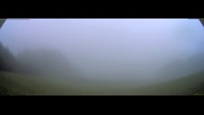 2025-07-26