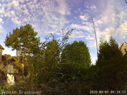 2026-09-07