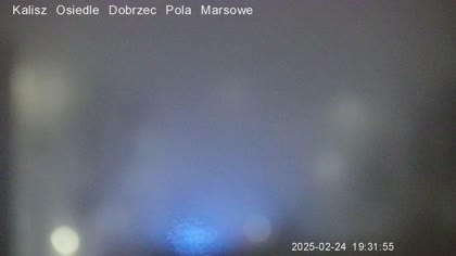 2026-06-03