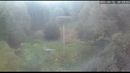 2025-09-15