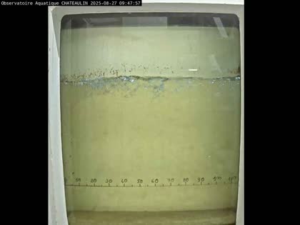 2025-08-27