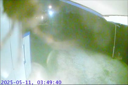 2025-05-11