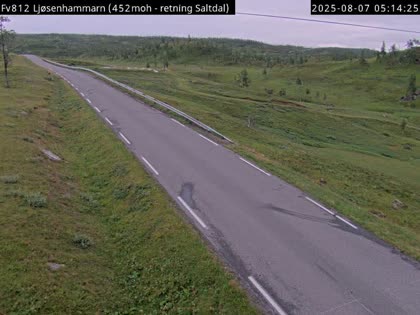 2025-08-07
