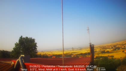 2025-06-06