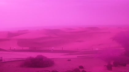 2026-09-26