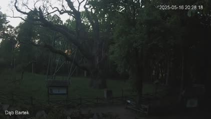 2025-05-16