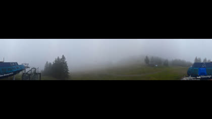 2025-08-02