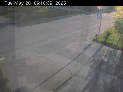 2025-05-20