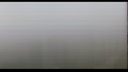2025-07-28