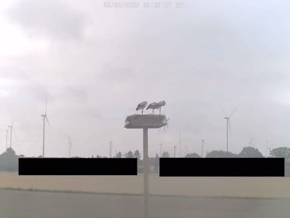 2025-08-02