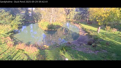 2025-09-29