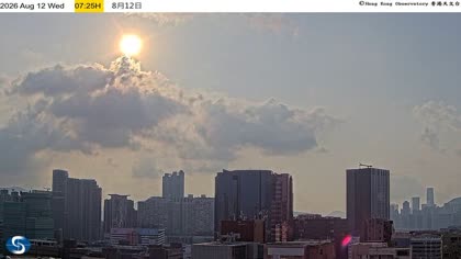 2026-08-12