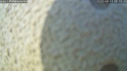 2025-08-13