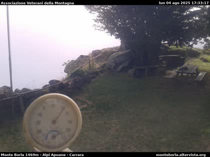 2025-08-05