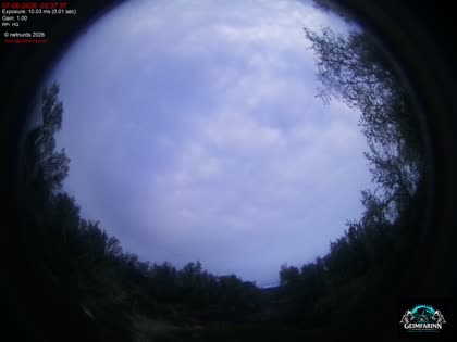 2026-06-07
