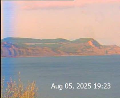 2025-08-06