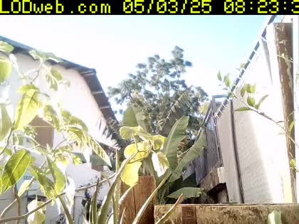 2025-05-03