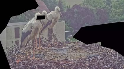 2025-07-15