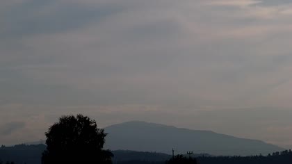 2026-06-06