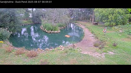 2025-08-07